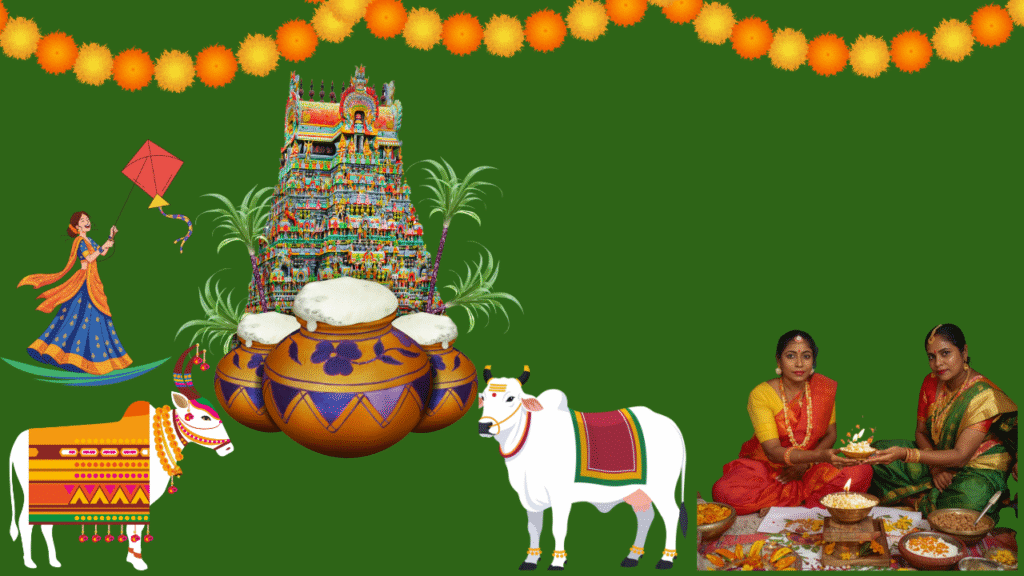 भोगी
Pongal festival people celebrate ,