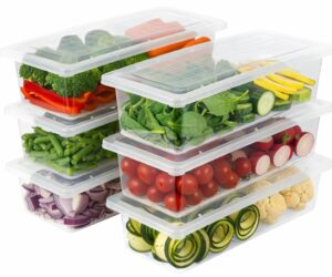 Solimo Stackable Fridge Storage Containers (Pack of 6)